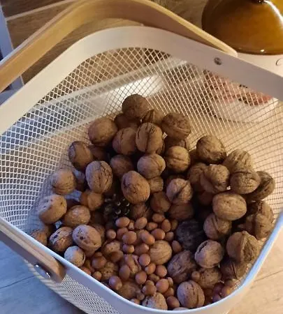 Vila Planinska Kuca Paun Pale