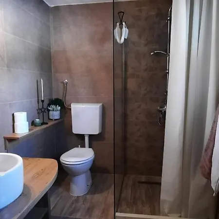 Vila Planinska Kuca Paun