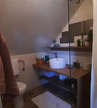 Vila Planinska Kuca Paun