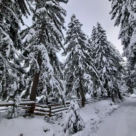Planinska Kuca Paun