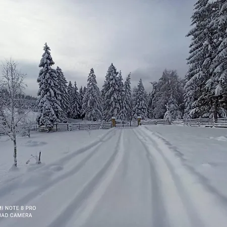 Planinska Kuca Paun Pale